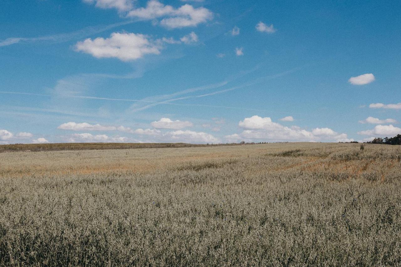 Agroturystyka Pod Debem Łagów Exteriér fotografie